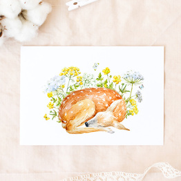 Müdekitz